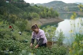 心中流过一泓清水——南水北调水源涵养地干群护水观察图片