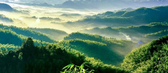 跟着春晚游宜宾！共赴一场历史文脉之旅！