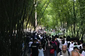 直击｜为熊猫界“三大顶流”庆生，粉丝通宵排队图片