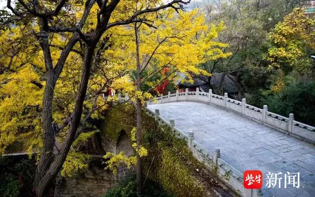 大王叫你来巡山！连云港花果山邀您参加新年登山赛