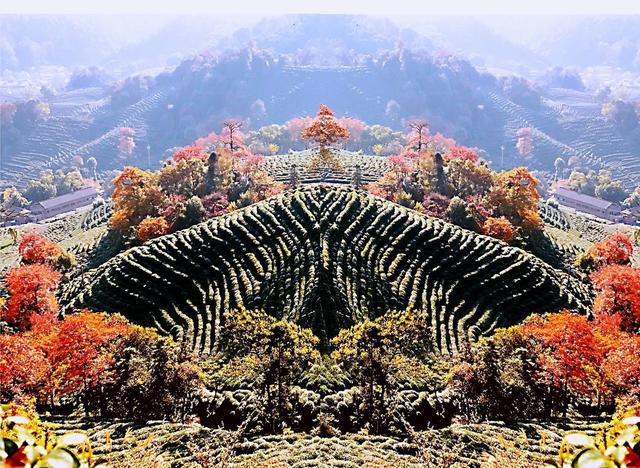 晚潮｜琅珰十里行，满目秋光尽染黄