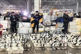封海前最后一船海鲜抵达城阳水产批发市场，鲅鱼仍唱主角！图片