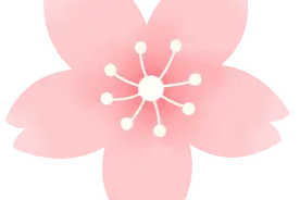 深读昆明 | 自嘲“牛马”的年轻人正在把工位搬进山野图片