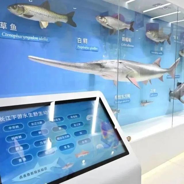 南京这条线，出片率100%