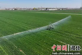 河北阜城：智能喷灌效率高 科技助农春灌忙图片