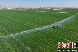 河北阜城：智能喷灌效率高 科技助农春灌忙图片