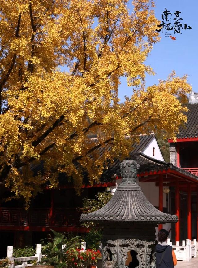 老广们！即刻出发“朗京嘿哈山”啦～