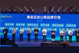 延安苹果品牌建设成效突出：公用品牌价值全国第三 4个企业品牌价值过亿元图片