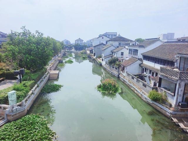 平望初秋风物记