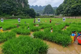 万峰林散发“清爽”魅力 多业态做活避暑经济图片