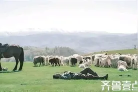 《我的阿勒泰》：自由与爱的生命力图片