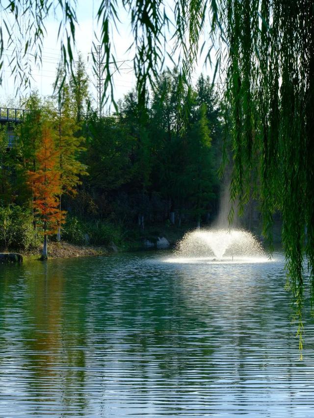 周末N次方|打开这份江汉赏秋图鉴→