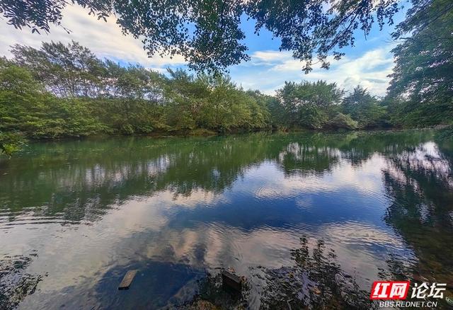 岁暖时刻丨秋访茶源渡：一段隐藏在山水间的峥嵘岁月