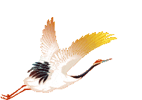 重阳暖孝亲，文脉润金陵——携父母同游南京夫子庙