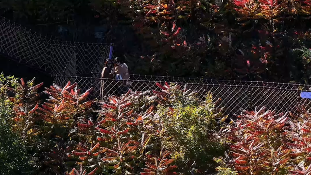 河北大名，全国一等奖！千年古县的爆款密码藏在这里，还有……