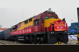 四川乐山：以高水平对外开放助推高质量发展图片