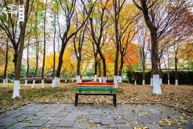 秦淮citywalk｜七桥瓮湿地公园