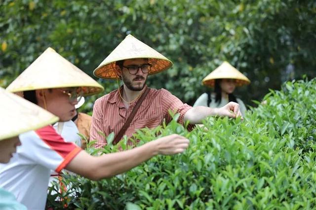 研学去哪儿？这儿有N种选择！