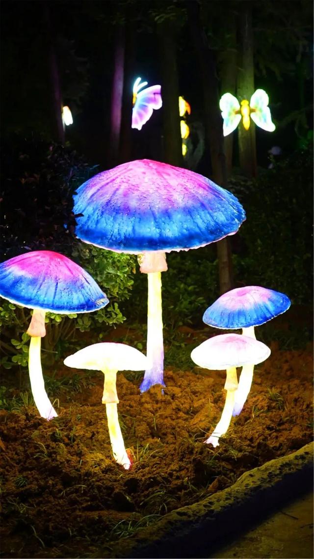 拒绝开学焦虑！一键解锁杭州近期精选活动推荐