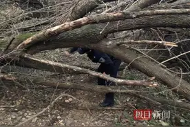 情侣爬山游玩迷路，民警紧急进山救援图片