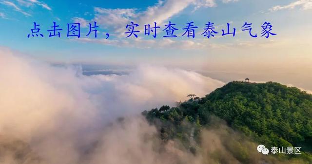 泰山的秋信：半穹澄蓝，半岭楸红