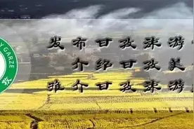 一眼心动的冬日甘白路，自驾走起！图片