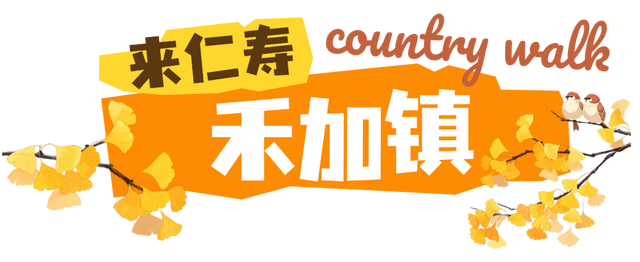 初秋country walk，是时候到仁寿村游啦