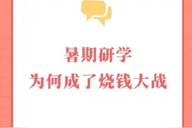 暑期研学为何成了烧钱大战？图片