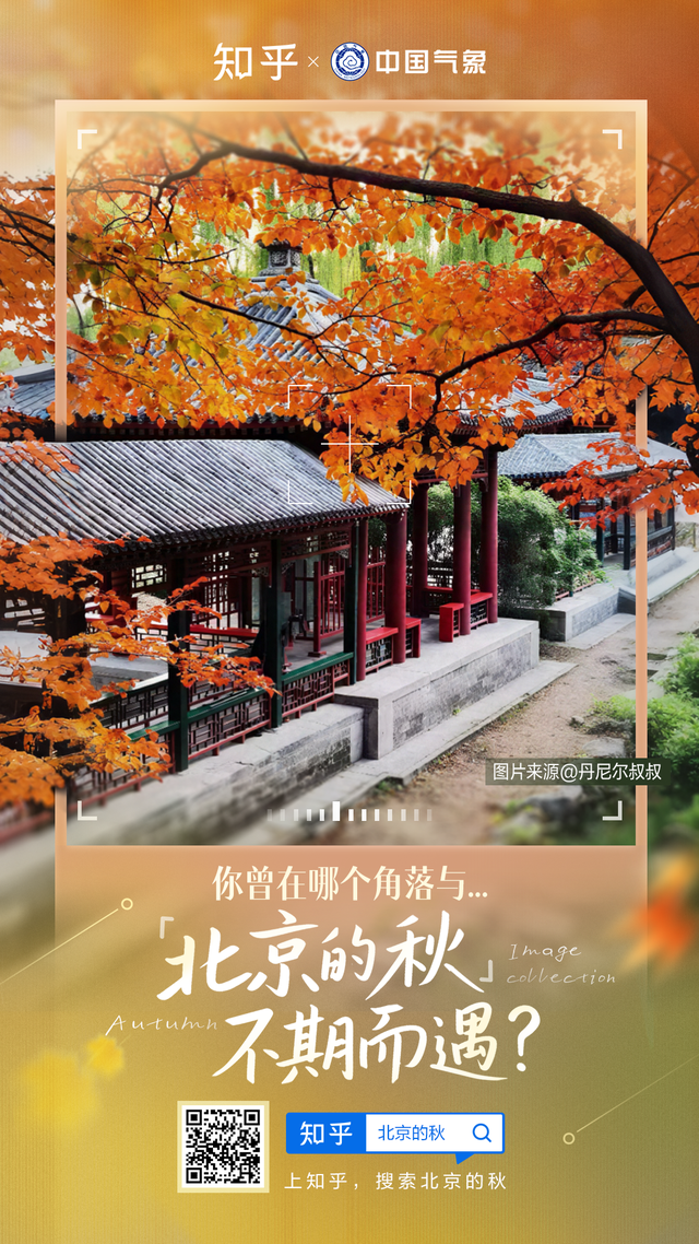 如何描述“北京的秋”？这是一期有温度的推送……