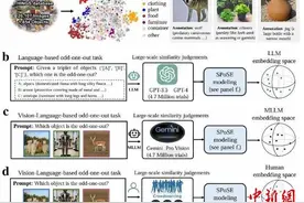 人工智能可自发形成人类级认知？中国团队最新研究首次证实图片