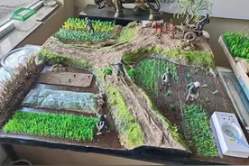 微缩景观作品“春夏秋冬”被曹妃甸农垦记忆馆永久收藏图片