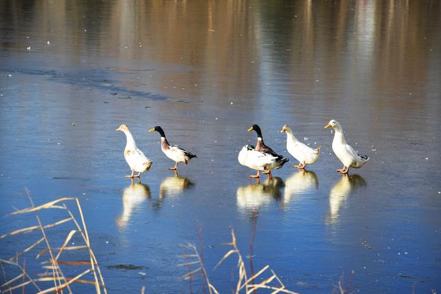​组图丨西郊公园的冬日慢时光