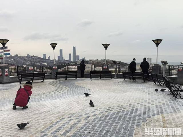 红瓦绿树，白雪皑皑