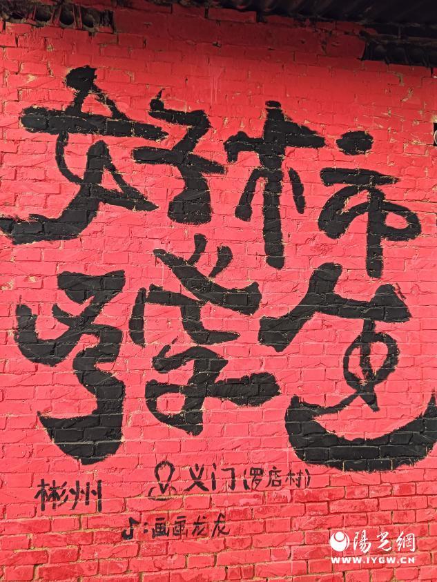 免费采摘引客来！咸阳彬州罗店村柿子红透啦