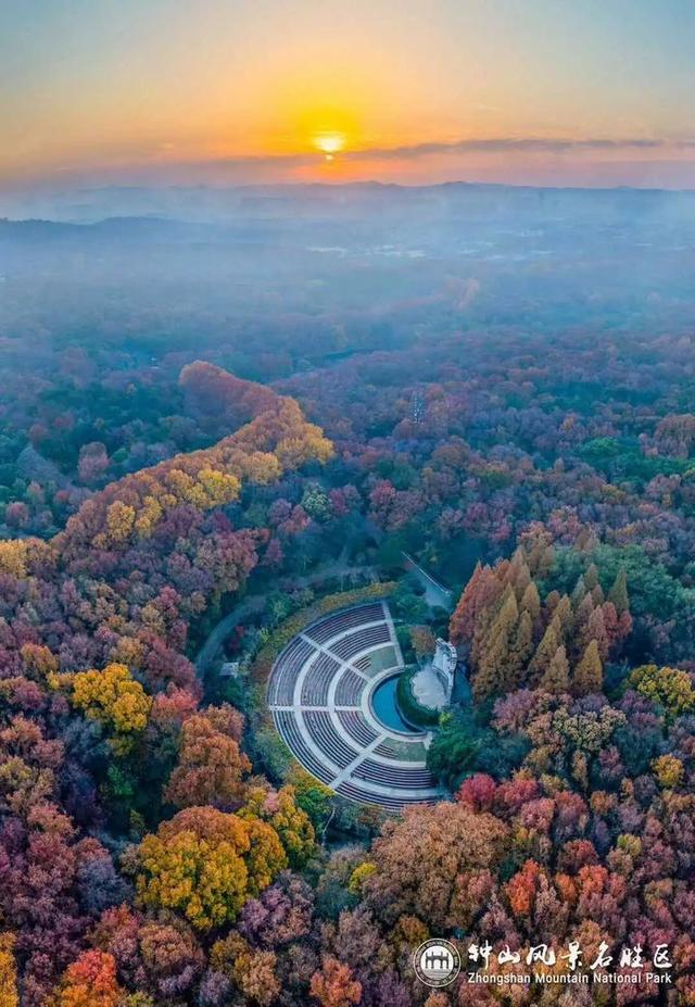 没来过紫金山，就不算看过南京的秋