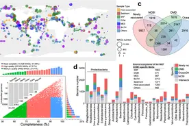 中外联合研究团队解码海洋微生物“基因宝藏”图片