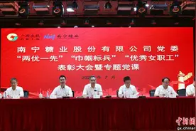 广农糖业：先锋领航 激扬红色力量图片