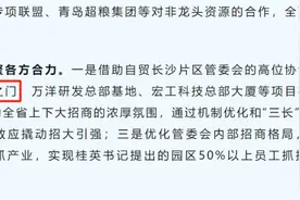 长沙之门重启？引入外资产业龙头图片