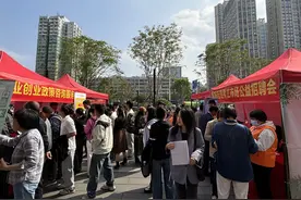 4800多个岗位！坂田街道公益招聘会助力人才岗位高效匹配图片