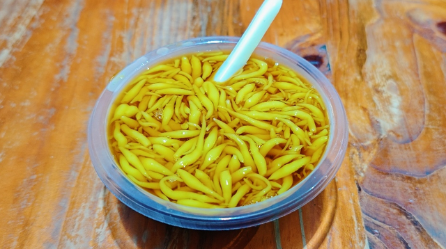 南宁就是冬日旅游天花板！摘果+跑马+演唱会+美景打卡，带你玩转“水果自由”之旅