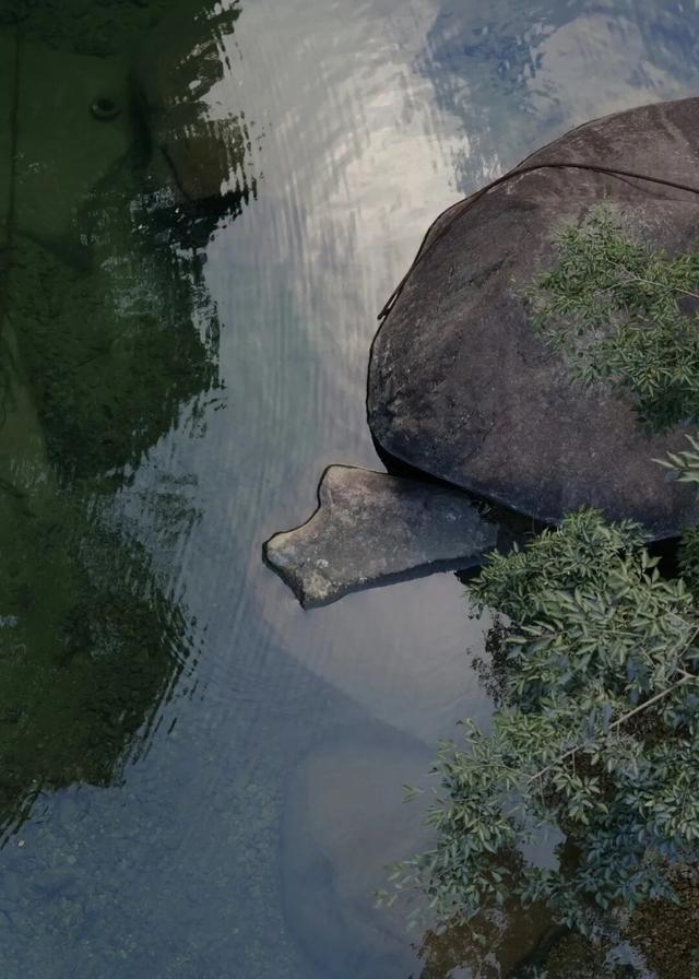 宁德新晋网红步道！把峡谷野趣、悬空观景与百年人文打包，随手拍都是景！