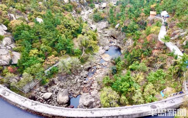 十余只鸳鸯“做客”崂山龙潭水库 深秋生态画卷添灵动生机