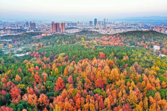 “反季节浪漫”！永康冬季限定版“城市漫游地图”上线