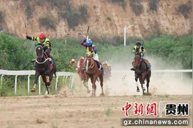 贵州“村马”总决赛冠军诞生图片