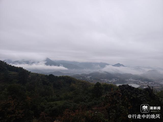 晚潮｜向野而行