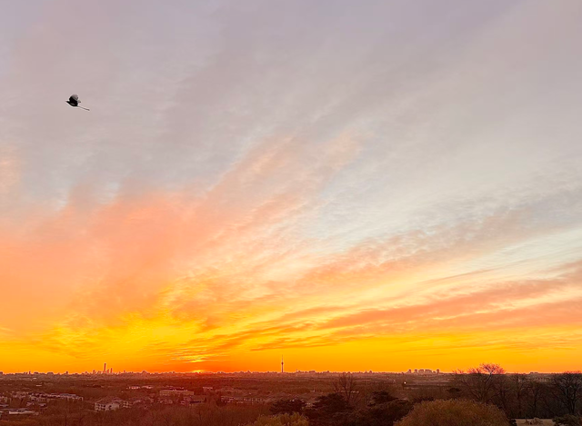 朝色漫染	，天空披彩，北京的晨光太治愈了！
