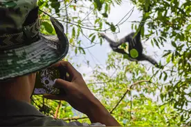 当移动技术与野生生物影像相遇，如何奔赴下一场“山海有灵”？图片