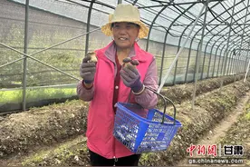 我们的家园 幸福美好新甘肃 | 探访甘南卓尼特色食用菌产业图片