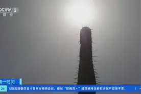 局地降雨量不到4毫米！美国菲尼克斯经历128年来最干旱季风季图片