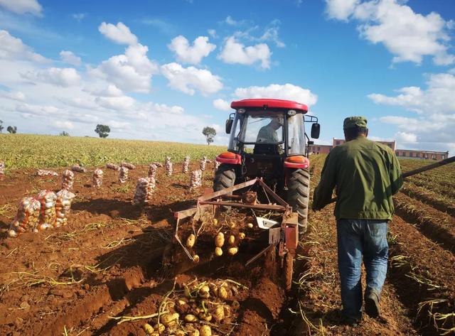 最懂松弛的北京中产，在内蒙玩得太“土”了